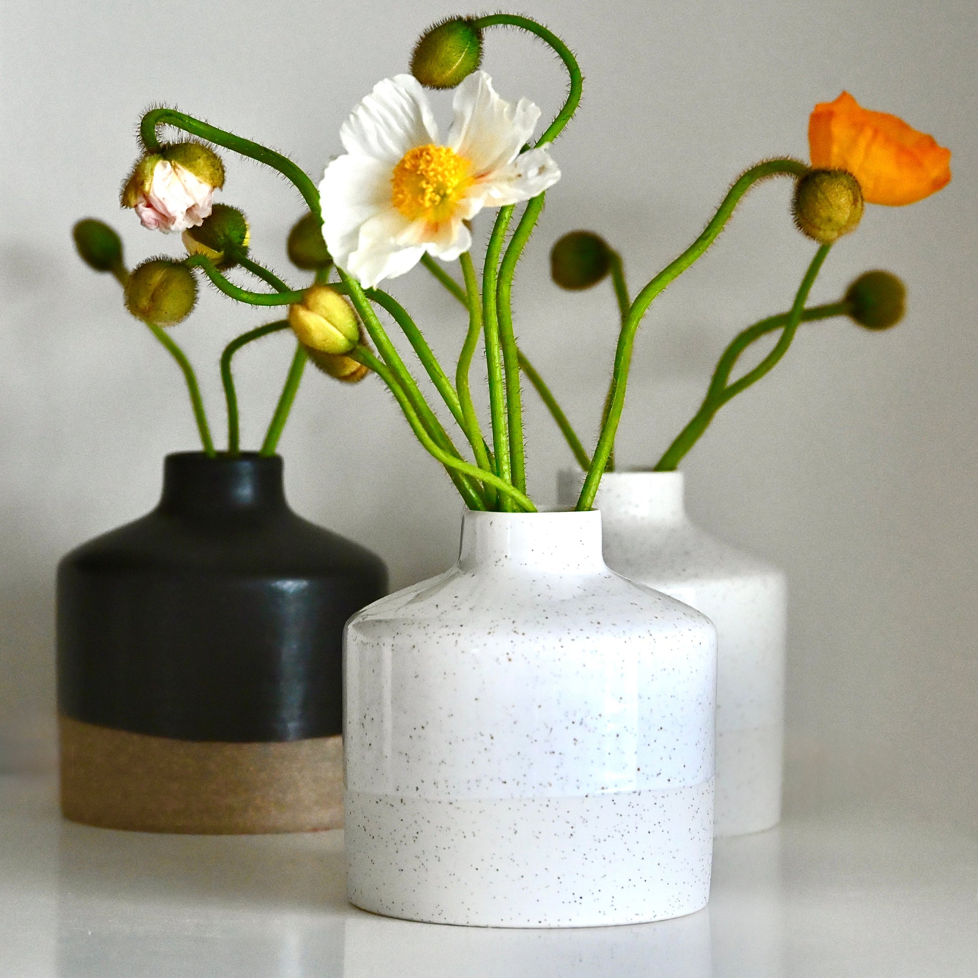 Diffuser Vases